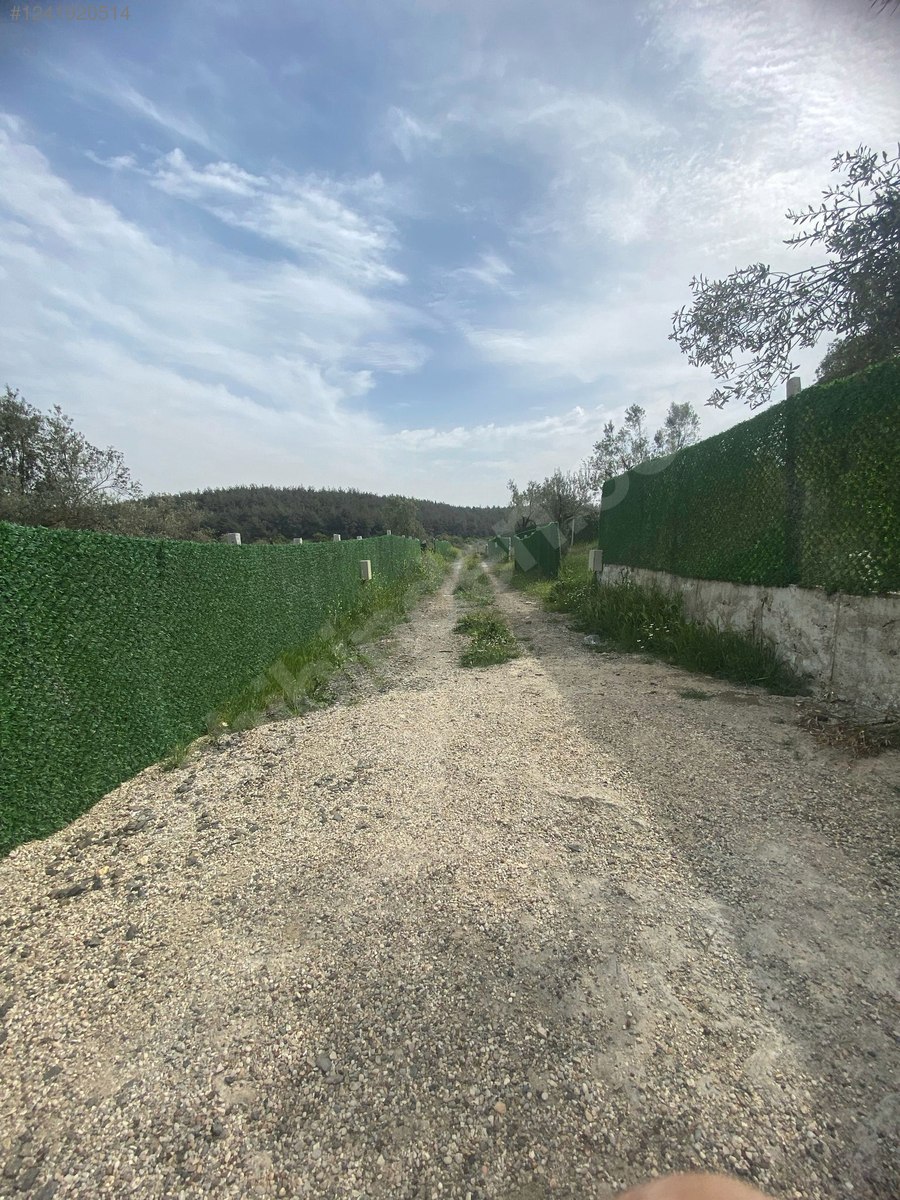 İZMİR-ALİAĞA-BOZKÖY’DE TARLA’NIN 300 M² ‘Sİ SATILIKTIR - İZMİR ALİAĞA fotoğraf 27